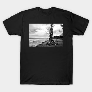 Arbre sur une plage en Noir & Blanc T-Shirt